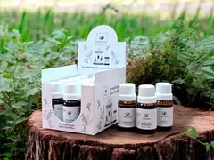 Imagen de Aceites Esencias Aromáticas Variadas Para Hornitos