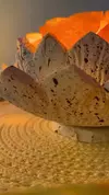 Lampara Flor De Loto Con Sal Del Himalaya Para Sanar Cualquier Ambiente