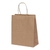 SACOLA KRAFT 17,5X8,5X21,5CM REF 0022 PACOTE COM 10