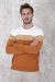 Sweater Art 8502 en internet
