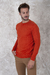 Imagen de Sweater 8501