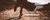 Imagem do banner rotativo Lobana