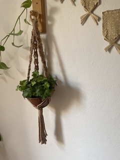 Suporte de plantas Jibóia - comprar online
