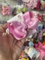 Analice M