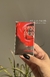 PERFUME AMOR AMOR x CACHAREL- 100 ML - comprar online