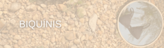 Banner da categoria Biquíni 