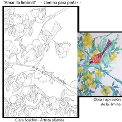 Imagen de Set 4 láminas para pintar #07 + stickers de las obras