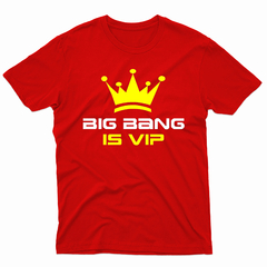 Remera Unisex Manga Corta BIG BANG THEORY 06 - Wildshirts