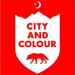 Buzo Canguro Unisex CITY AND COLOUR 02