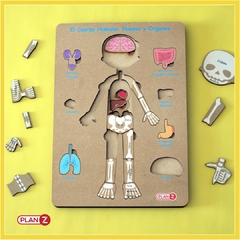 TABLERO CUERPO HUMANO - DIDÁCTICOS JUEGA CONMIGO