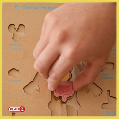 TABLERO CUERPO HUMANO - comprar online