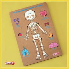 TABLERO CUERPO HUMANO