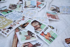 ANIMALES ARGENTINOS: AGUDEZA VISUAL - tienda online