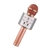 Micrófono Karaoke con parlante bluetooth HYTOSHY