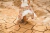 vestido de noiva boho chic mini wedding casamento na praia