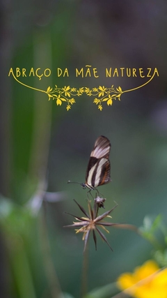 LENÇO PROTEÇÃO | Linha Abraço da Mãe Natureza na internet