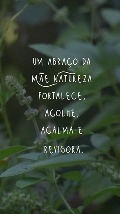 LENÇO PROTEÇÃO | Linha Abraço da Mãe Natureza