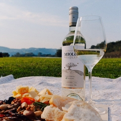 Vinho Miolo Seleção Pinot Grigio Riesling Branco Seco 750ml - comprar online