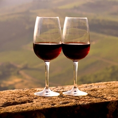 Vinho Tarapacá León Linha Tinto Branco Chile Garrafa 750ml - comprar online