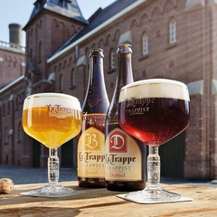 Kit Cerveja La Trappe Dubbel Escura Garrafa 750ml com Taça na internet