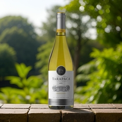 Vinho Tarapacá León Chardonnay Branco Chileno Garrafa 750ml - Newness Atacado