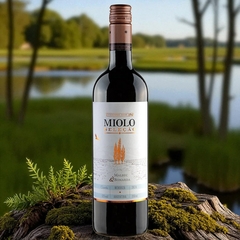 Vinho Miolo Seleção Tinto Malbec e Bonarda Argentina 750ml - comprar online