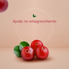 Suco Juxx Cranberry Funcional Zero Açúcar Adicionado 1000ml