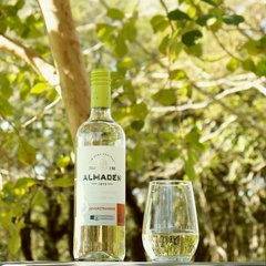 Vinho Almadén Gewurztraminer Branco Seco Adega Miolo 750ml - Newness Atacado
