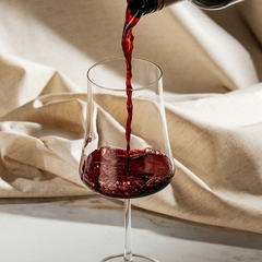 Vinho Miolo Seleção Tinto Malbec e Bonarda Argentina 750ml - loja online