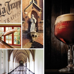 Cerveja La Trappe Dubbel Holandesa Escura Garrafa 330ml - Newness Atacado