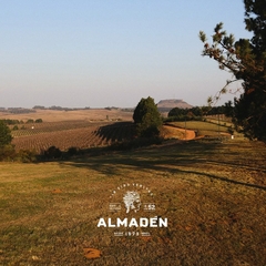 Vinho Almadén Fino Tinto Branco Adega Miolo Garrafa 750ml - comprar online