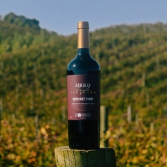 Vinho Miolo Single Vineyard Cabernet Franc Tinto Seco 750ml - comprar online
