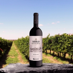 Vinho Miolo Reserva Merlot Tinto Vale dos Vinhedos 750ml - comprar online