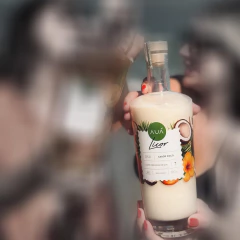 Licor Cremoso de Coco com Gin Auá 700ml Drinks Aperitivo - loja online