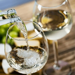 Vinho Tarapacá León Chardonnay Branco Chileno Garrafa 750ml - comprar online