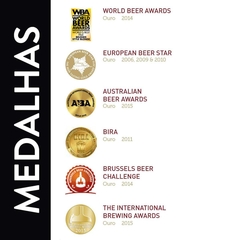 Cerveja Brugse Zot Importada Bélgica Estilos Garrafa 750ml - Newness Atacado