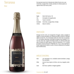 Espumante Terranova Brut Vinícola Miolo Garrafa 750ml - Newness Atacado