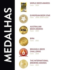 Cerveja Brugse Zot Importada Bélgica Estilos Long Neck 330ml na internet