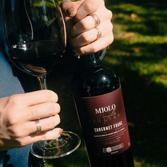Vinho Miolo Single Vineyard Cabernet Franc Tinto Seco 750ml - loja online