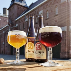 Cerveja La Trappe Belgian Dubbel Holandesa Garrafa 750ml na internet