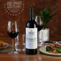 Vinho Miolo Reserva Malbec Tinto Fino Seco Garrafa 750ml - loja online