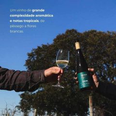 Imagem do Vinho Miolo Single Vineyard Alvarinho Branco Garrafa 750ml
