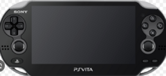 SONY PS VITA SLIM WIFI - FLASH - HEN - USADA - ESTUCHE SONY - CARGADOR ORIGINAL en internet