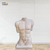Cuerpo
