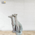 Galgos