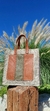 Cadie - comprar online