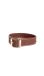 Collar para mascota