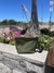 ATHENAS - tienda online