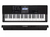 Tteclado Casio Ctx800 5 Oct.61 Sensitivo + Fuente Regalo Of en internet