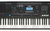 Teclado Sensitivo De 76 Teclas Yamaha Psrew425 Psr 425 Color Negro en internet